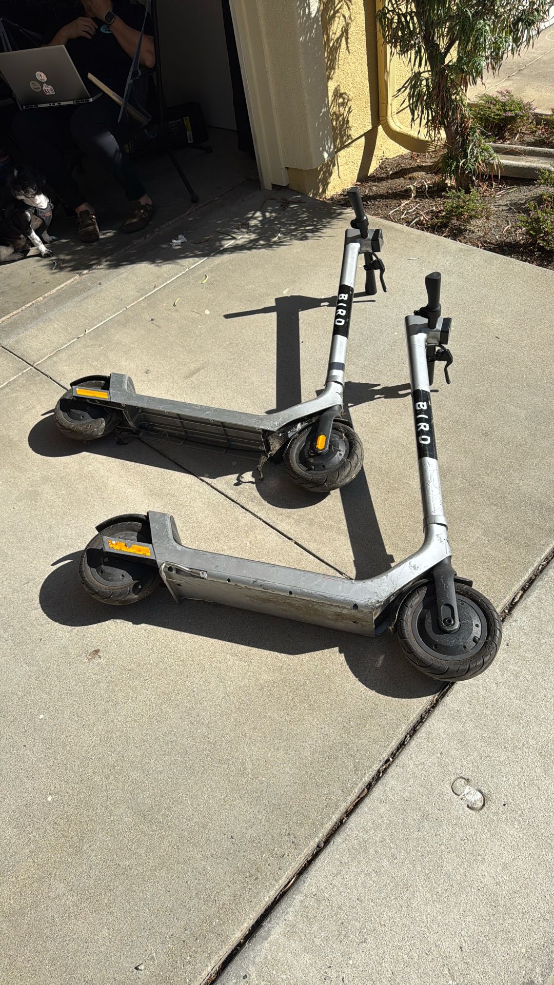 Free Decommissioned Bird Scooters - For Parts
