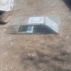 Trap Cage 