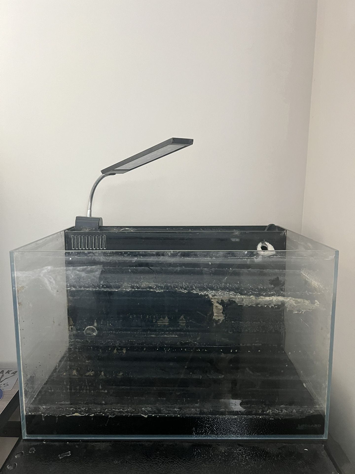 10 Gallon Glass Fish Tank 