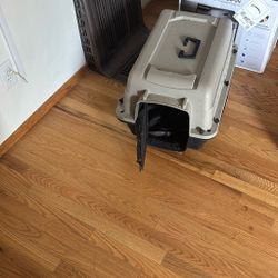 Doggy Kennel 