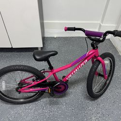 RipRock Specialized Rim 20