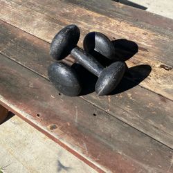 Pair Dumbbells.  15 lbs.