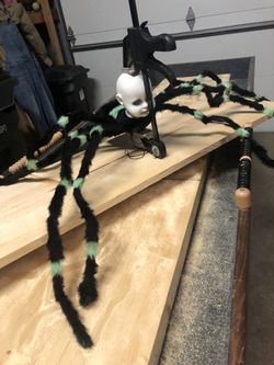 Halloween spiders/baby