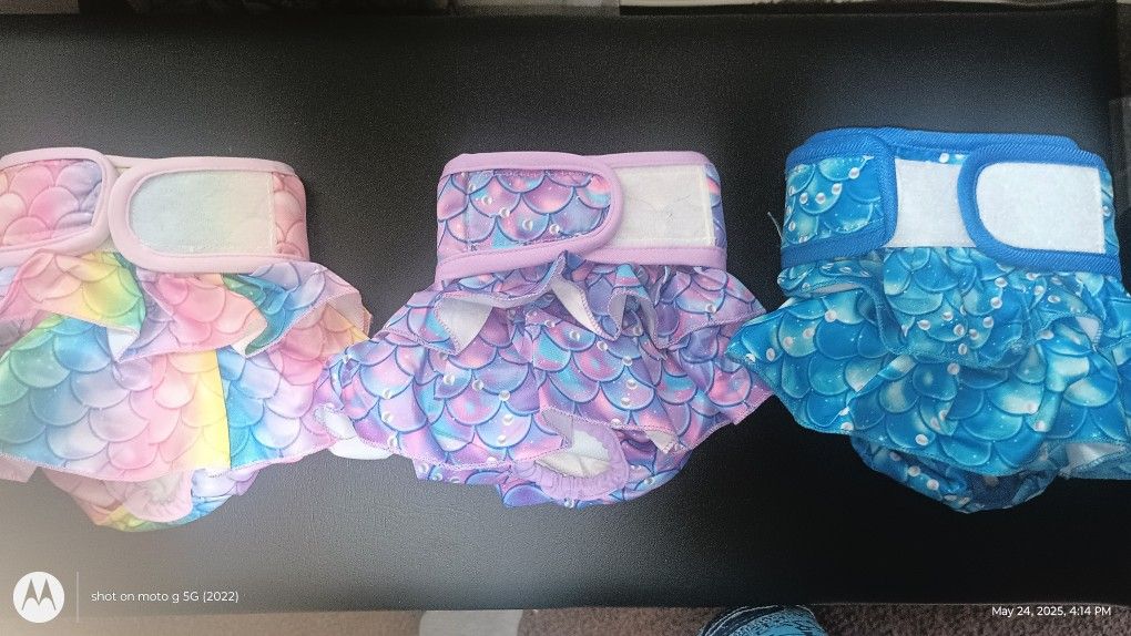 Dog Female Diaper, Bathing Suit, Underwear