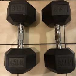 45lb Dumbbells 