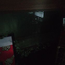 300 Gallon Fish Tank