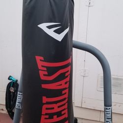 Everlast Punching Bag