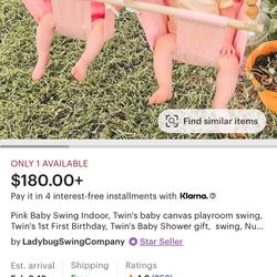 Indoor Infant/Toddler Twin Swing