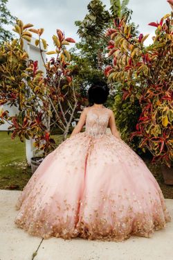 Princesa by Ariana Vara dress ( Quinceañera dress)