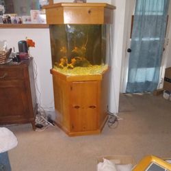 55 Gallon Fish Tank