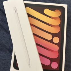 iPad mini 6 
