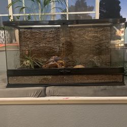 25 Gallon Used Reptile Tank- Ready To Use!