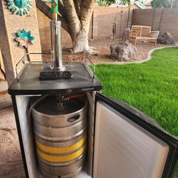 Edgestar Kegerator
