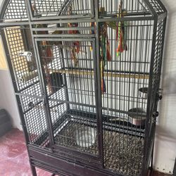 Bird Cage Eastern Rosellas