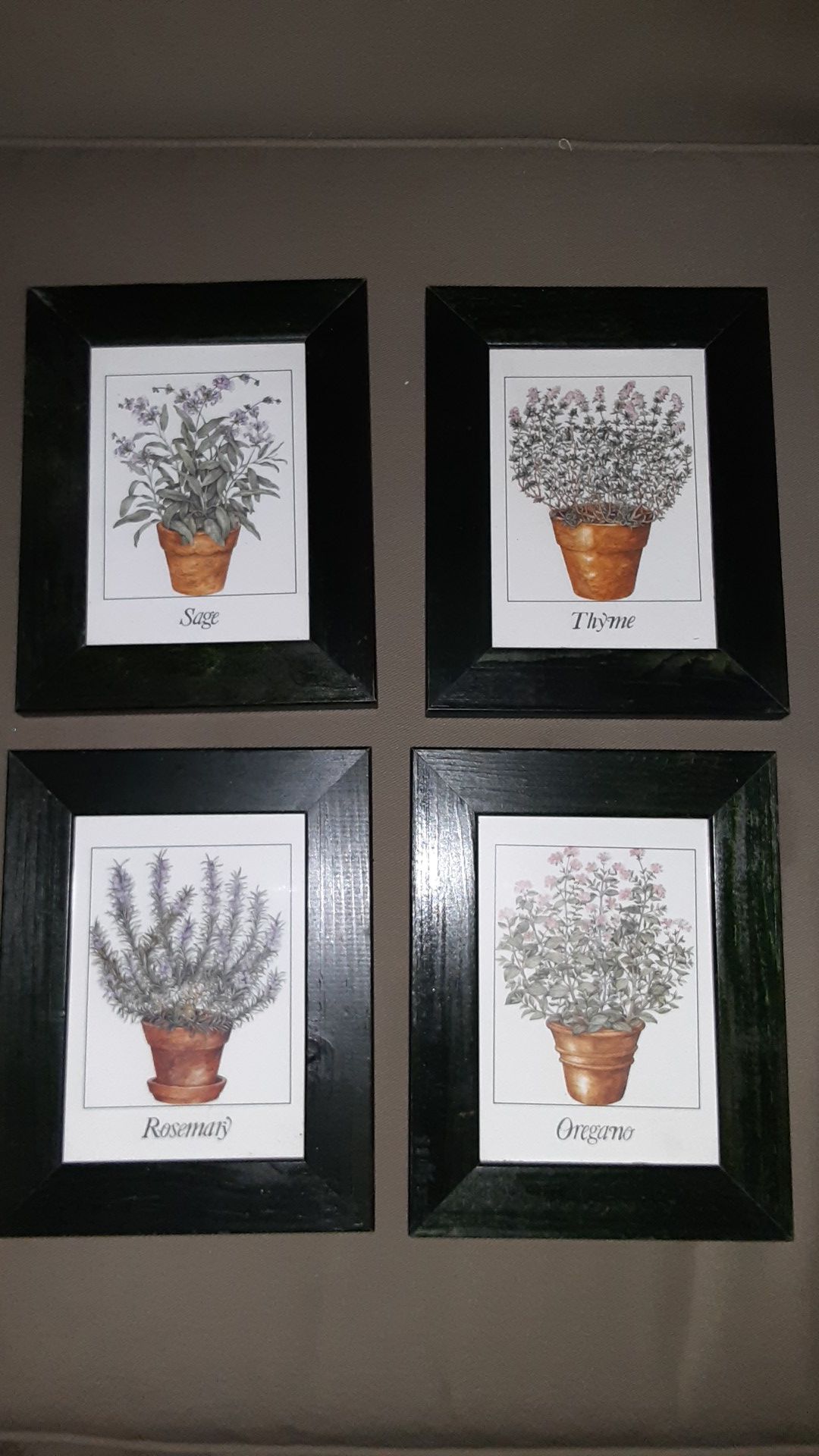 Beautiful framed herbal prints