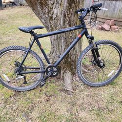 Motorbecane Mountain Bike