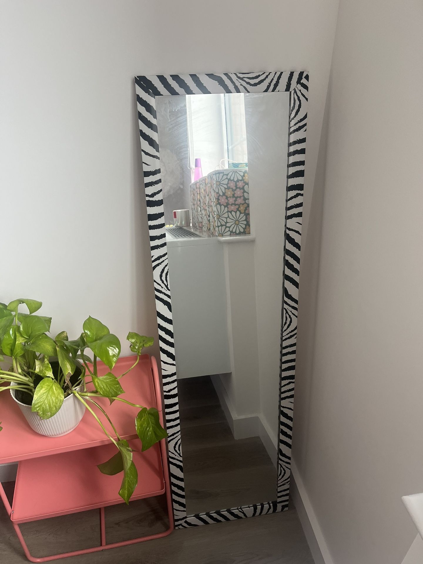 Zebra Full Length Mirror 