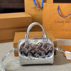Louis Vuitton Purse