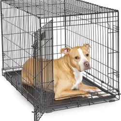 Large Dog Crate  MidWest iCrate Fold & Carry Single Door Collapsible Wire Dog Crate