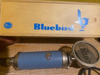 Blue Bird Condeser Microphone