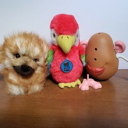 Stuffed Animal Collection