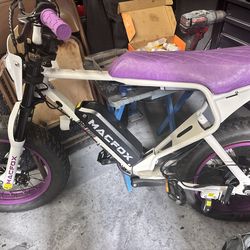 Mac Fox—New BS.zay x1s