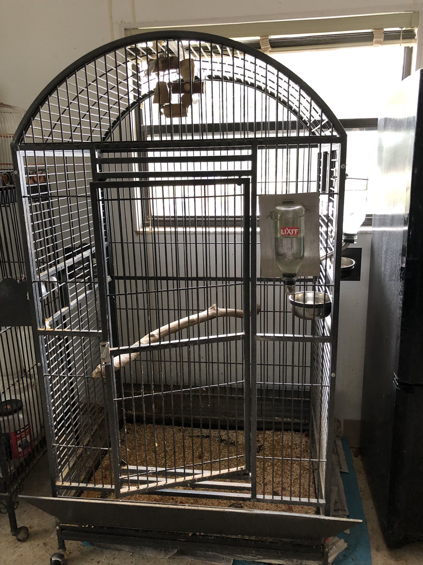 African Grey Cage