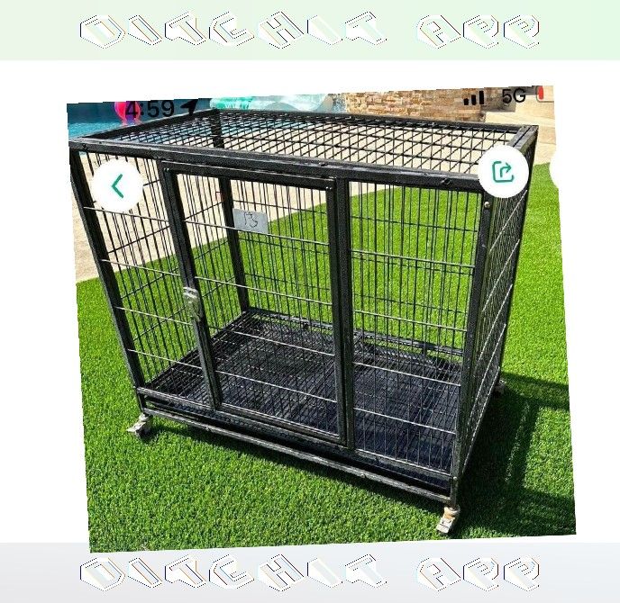political approach Tough Metal Dog Crates - Dependable and Secure
