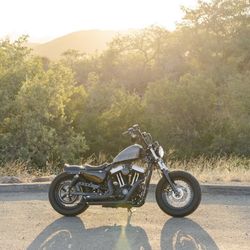 2015 Harley Davidson 48 
