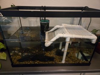 Fish tank 20 gallons