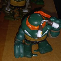 Turtles Wind Up  2005 Walk