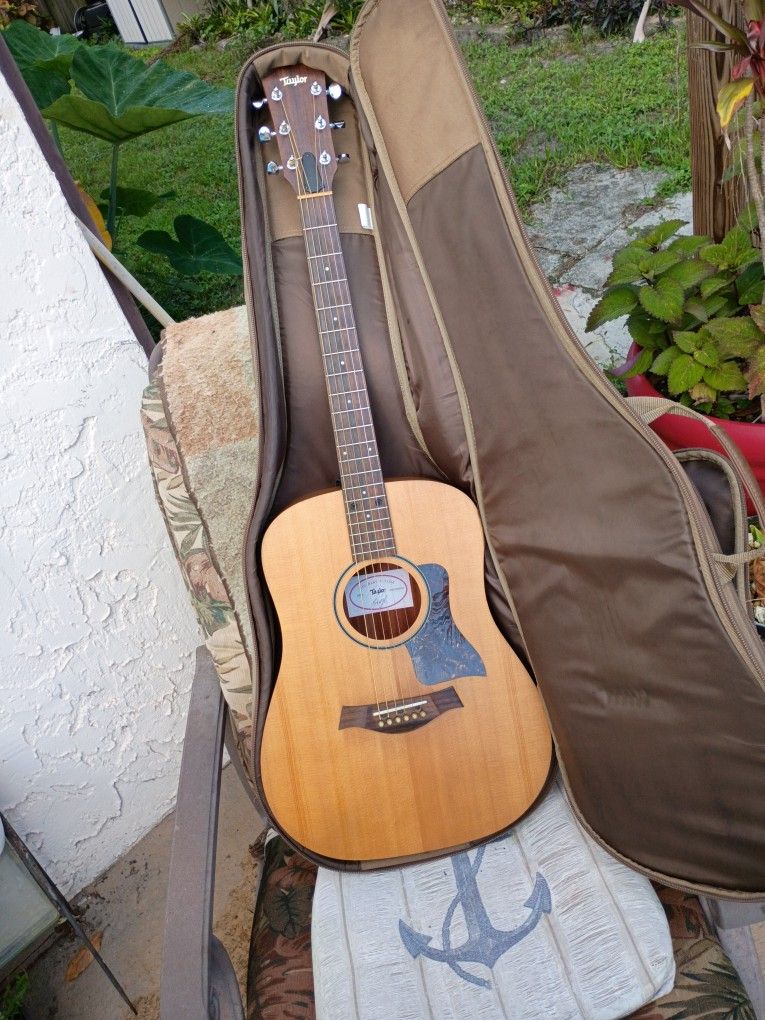 Spruce Taylor BBTe
