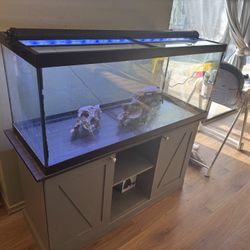 Fish tank & Stand - 55 Gal