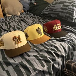 Fitted Hats