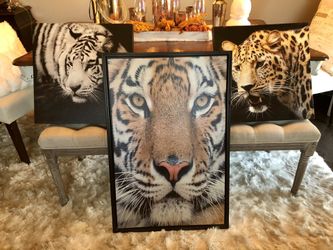 Lion & Jaguar pictures