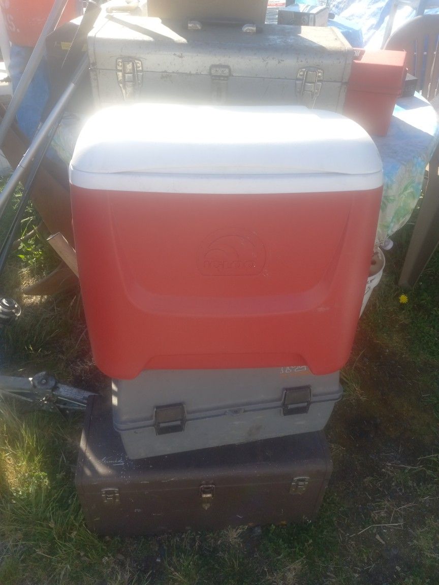 Igloo Cooler