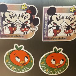 Disney Pass holder Magnet Set 