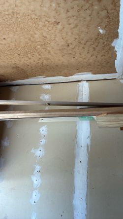 Different kind of wood moldings