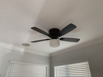 Ceiling Fans.