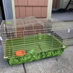 Guinea Pig Cage