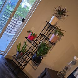 Plant Stand/all Plants Included