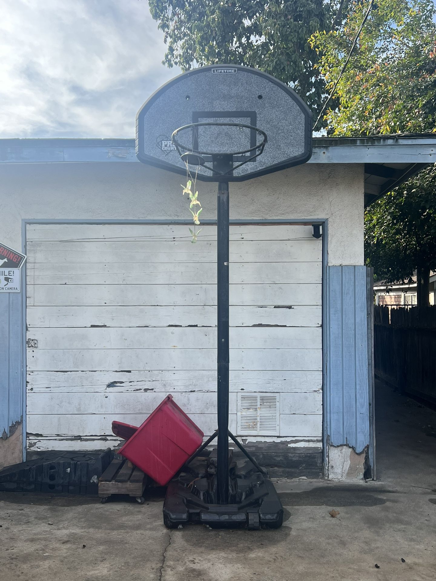 basketball hoop