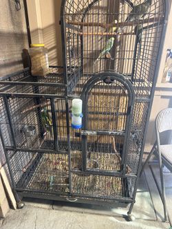 Bird cage.  Jaula grande para pericos oh  love birds,