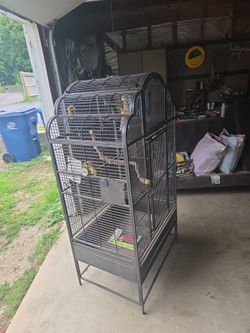 Parrot / large bird cage