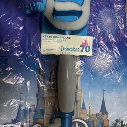 Disneyland Magic Key New With pin