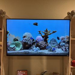 Vizio 50” LED TV