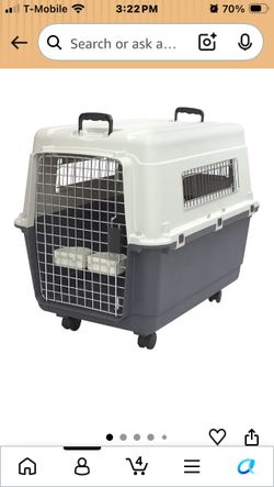 Airline compliant dog crate large