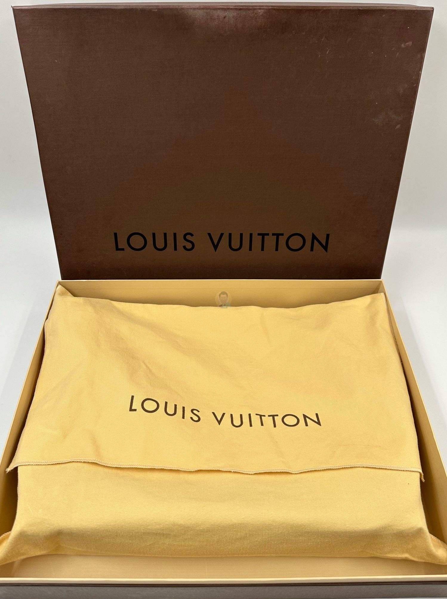 LOUIS VUITTON Thames Damier GM Shoulder Bag NOS