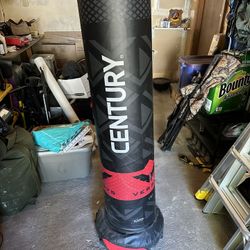 Century MMA bag