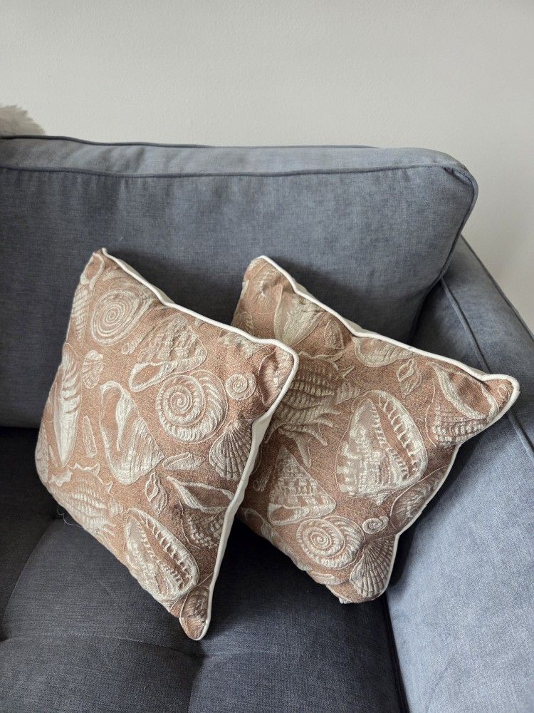 2 Beautiful INDOOR/OUTDOOR PILLOWS